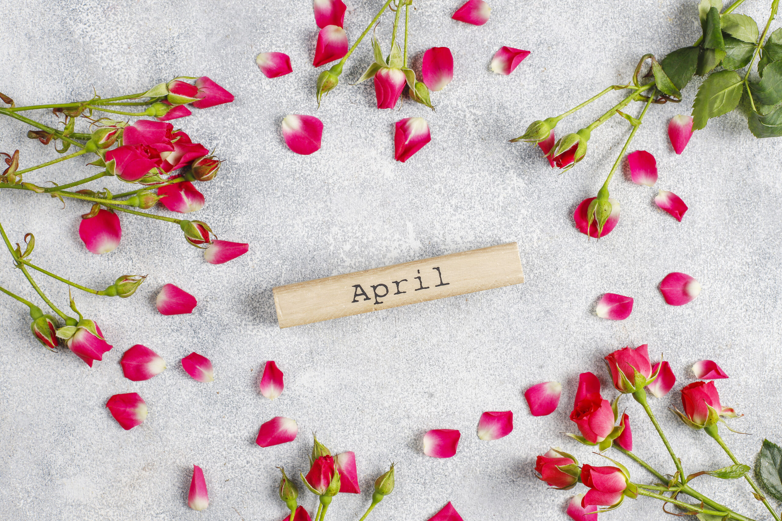 April Showers Bring May Flowers